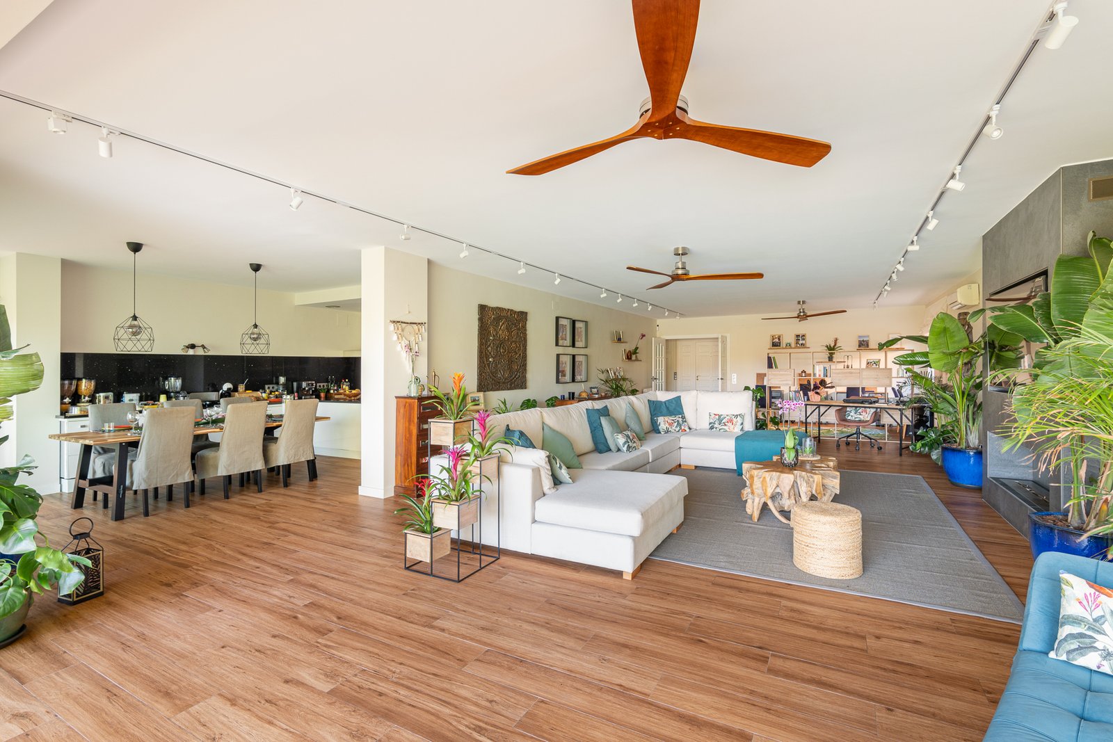 Salón-comedor diáfano lleno de plantas, de día